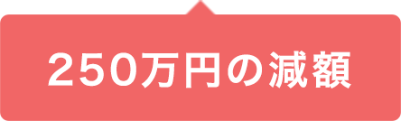 250万円の減額