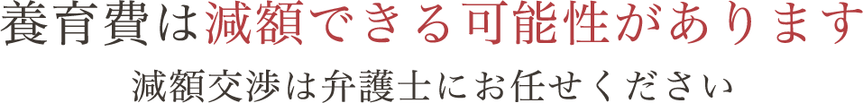 養育費は減額できる可能性があります