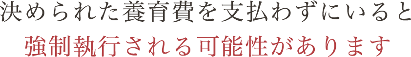 決められた養育費を支払わずにいると強制執行される可能性があります