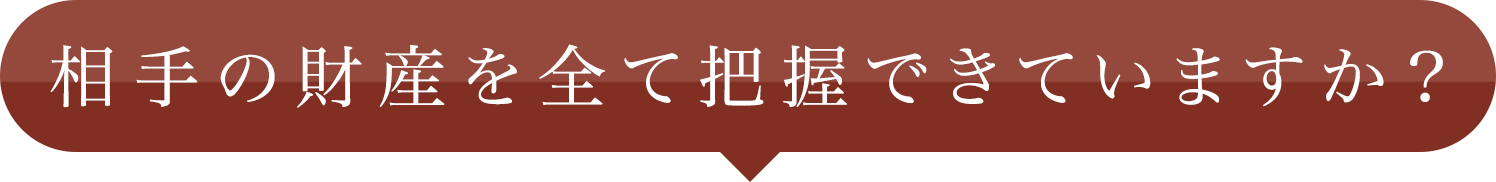 相手の財産を全て把握できていますか？