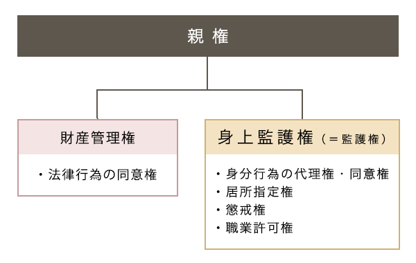 親権の内訳