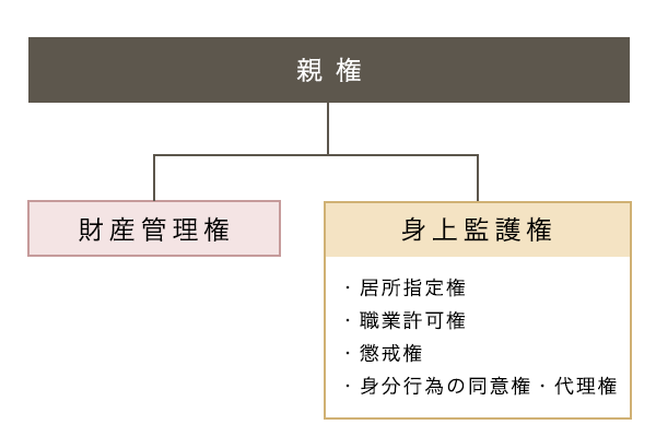 芪暩ã®å
èš³